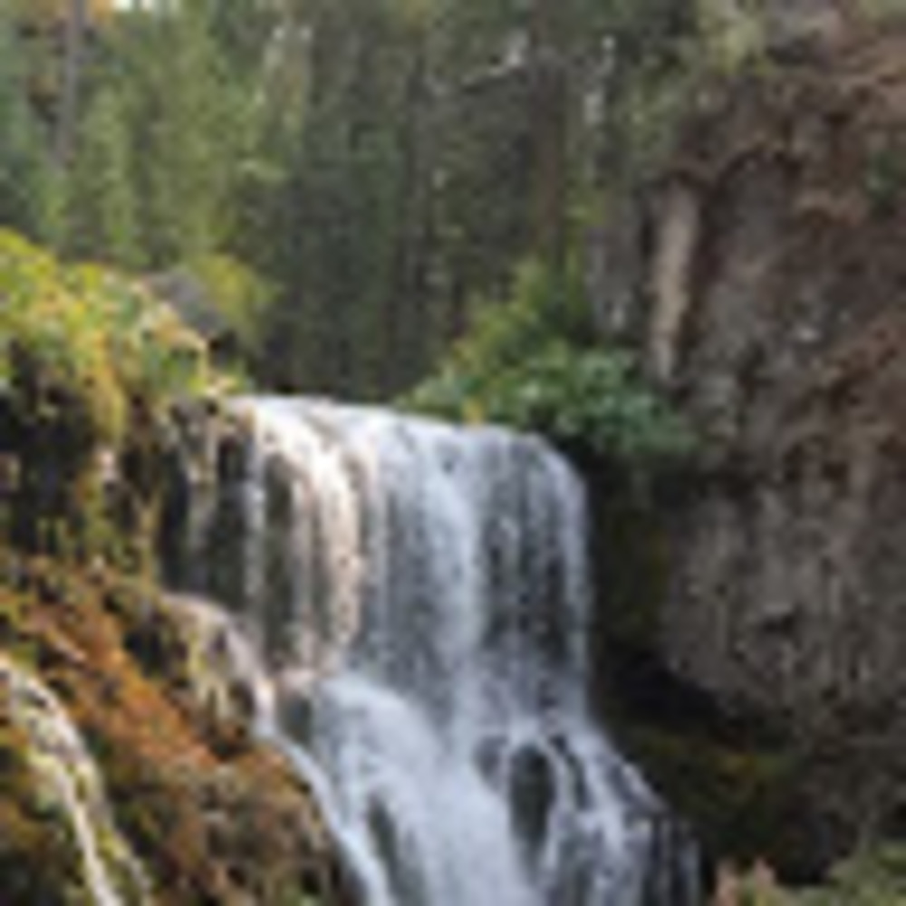 Meet your Posher, Mosette